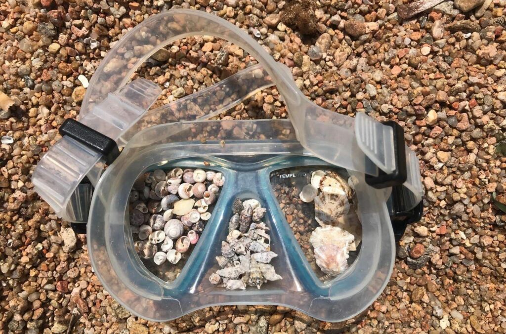 Bambini al mare snorkeling