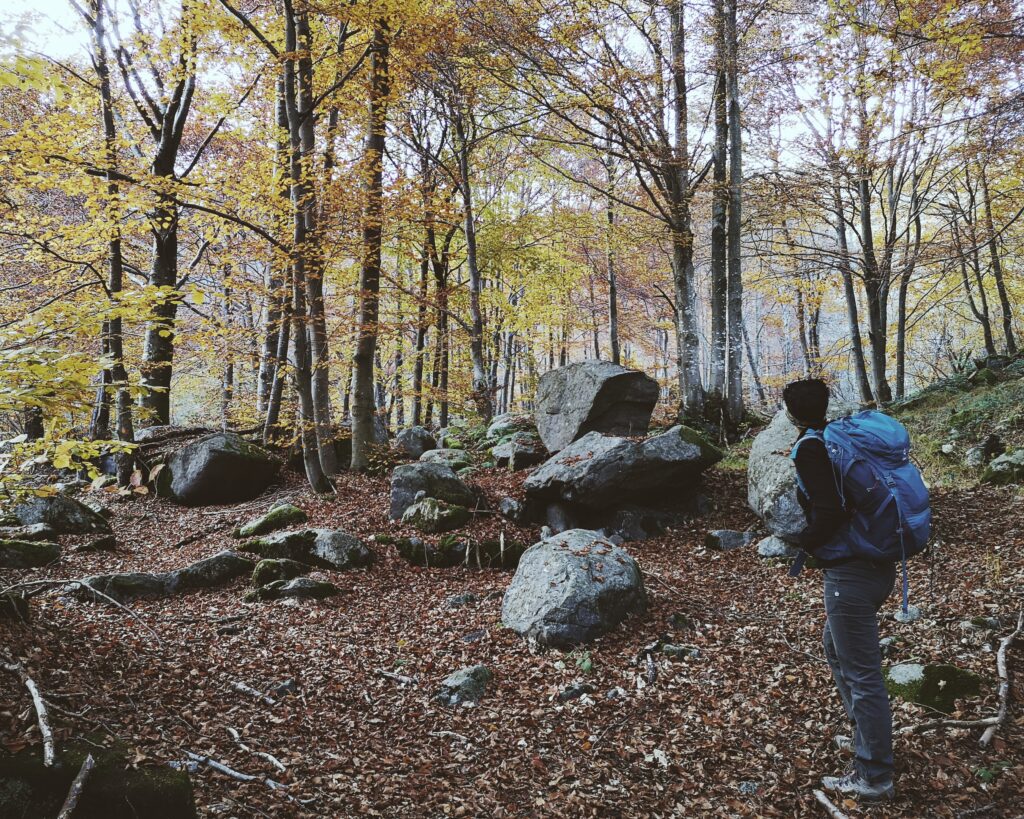 educazione all'aperto