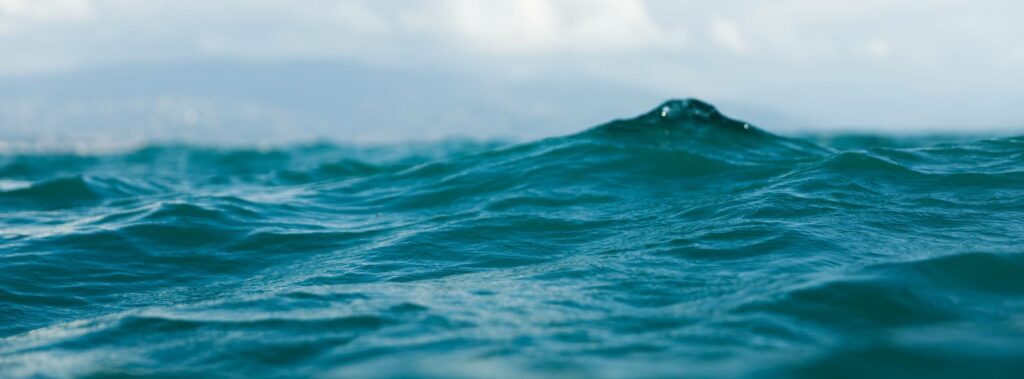 onde_mare portofino_header review