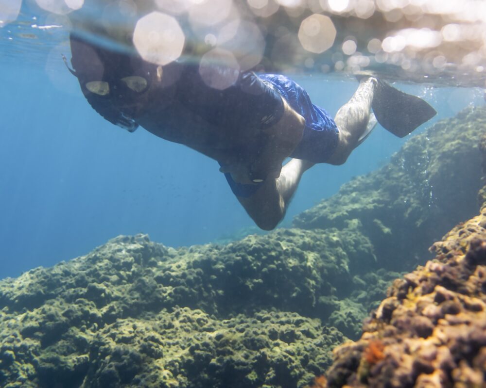 snorkeling tour attività