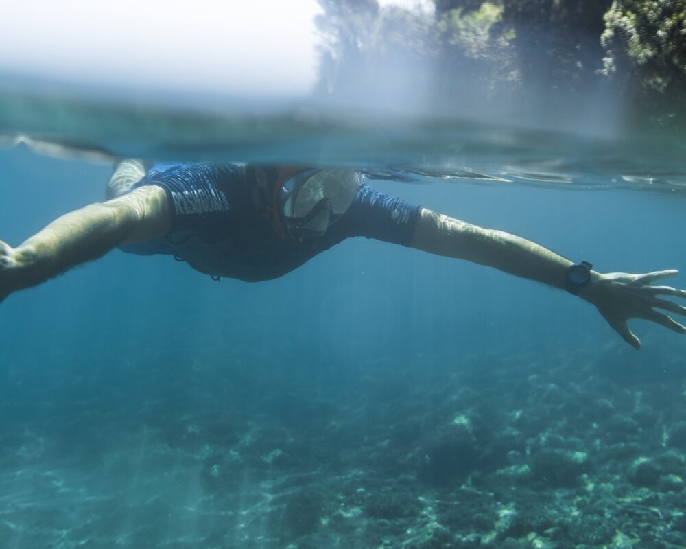 snorkeling tour